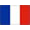 Bienvenue France Flag
